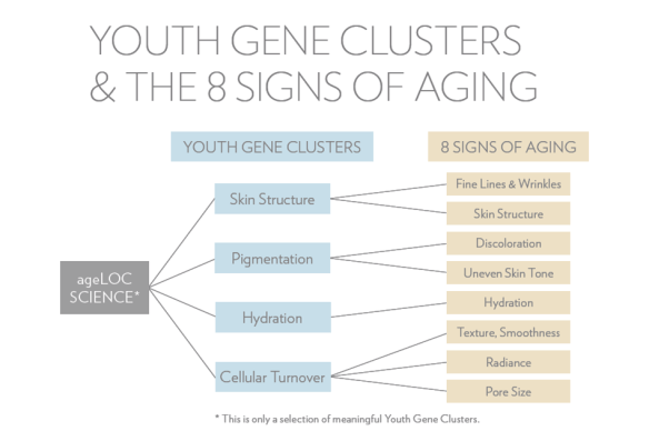 dibujo 8 signos envejecimiento